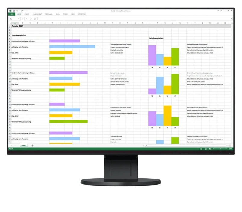 EIZO EV2456 FlexScan